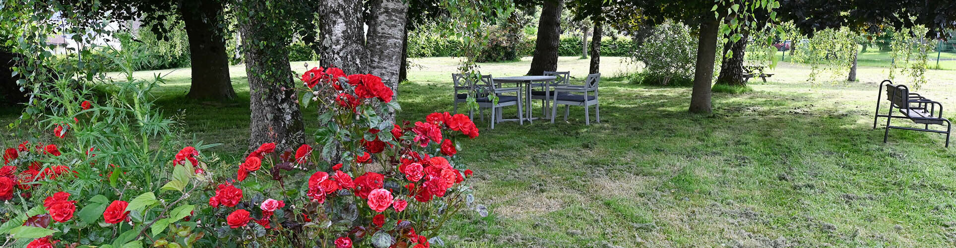 about_header_fleurs_bg