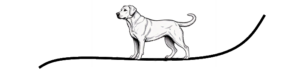 chien1