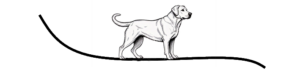 chien2