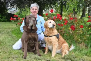 mascottes deux chiens